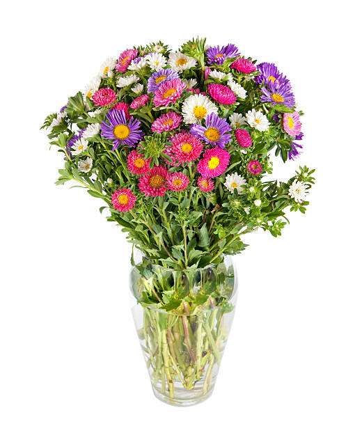 istock Asters bouquet. Beautiful flowers in vase isolated on white 177496399