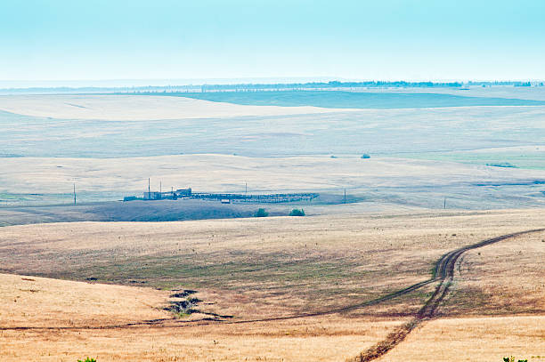 istock Summer corral in the steppe, top view 177496615