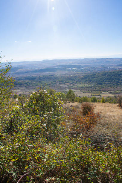 istock Landscape view to valley in distance mountains 1774970752