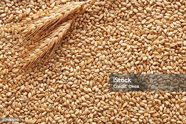 Wheat Background Stock Photo - Download Image Now - Cereal Plant, Crop - Plant, Food