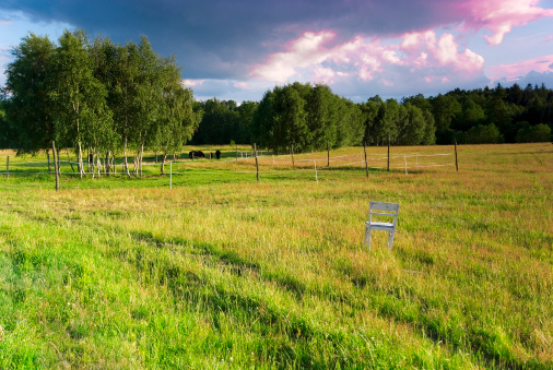 green nature after rain