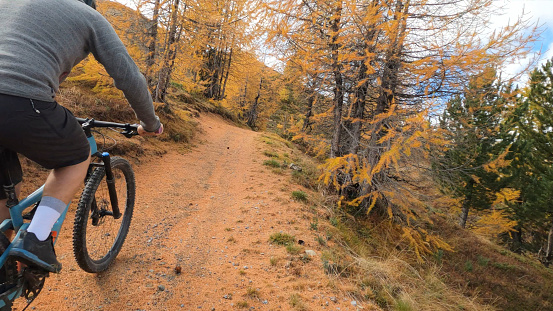 First person perspective biking down a pathway through larch trees in autumn