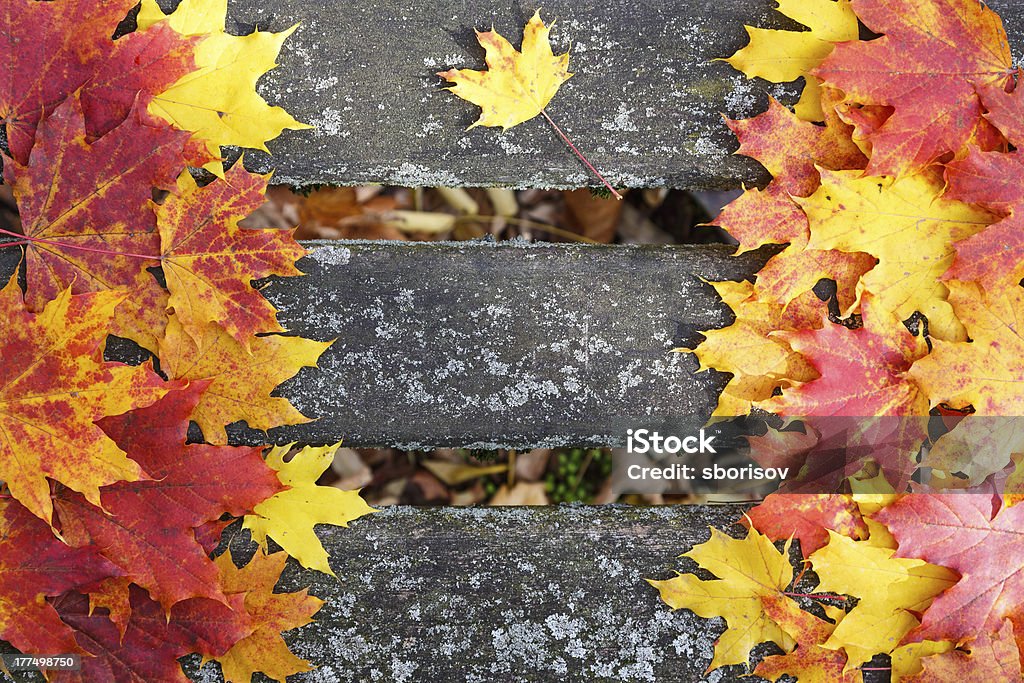 Fondo de otoño - Foto de stock de Aire libre libre de derechos