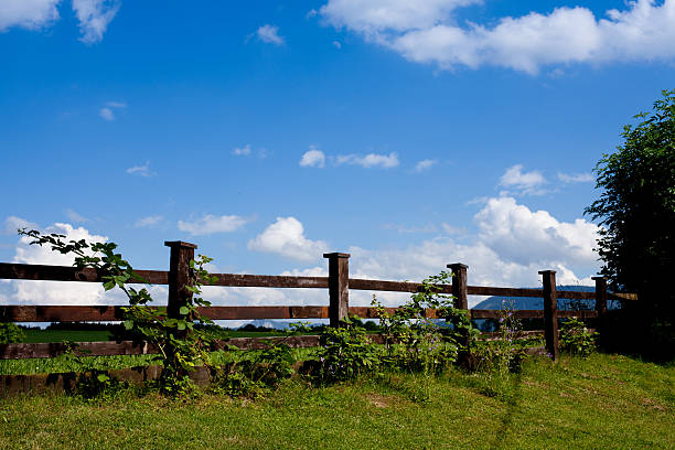 wooden fence stock photo