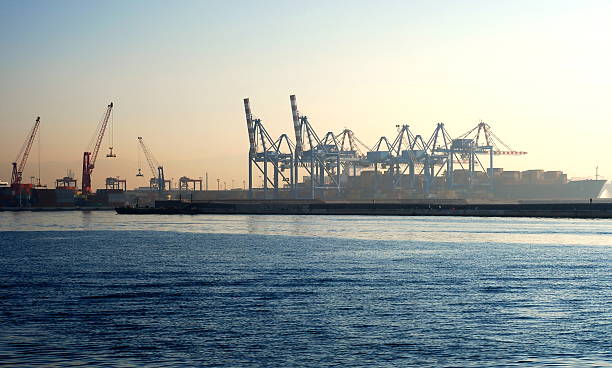 istock Cranes in Naples harbor panorama 177499315