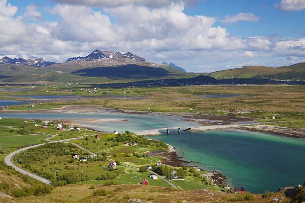istock Lofoten in summer 177499517