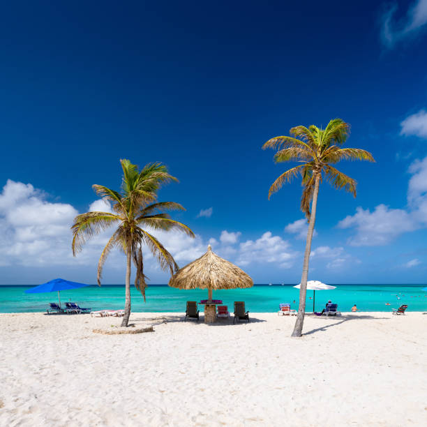 You can see my collection of photos of stunning Island of Aruba and Mexico (Cancun & Riviera Maya) stunning Beaches and culture, sunrises, sunsets, and much others!!) in the following link below: 