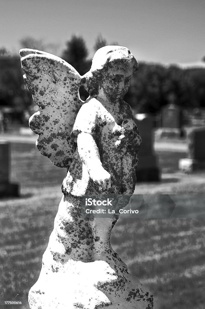 Estatua del ángel cuerpo en primer plano en el cementerio - Foto de stock de Ala de animal libre de derechos