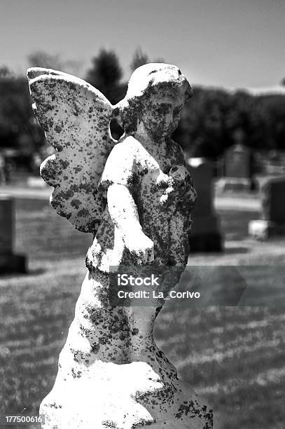 Estatua Del Ángel Cuerpo En Primer Plano En El Cementerio Foto de stock y más banco de imágenes de Ala de animal