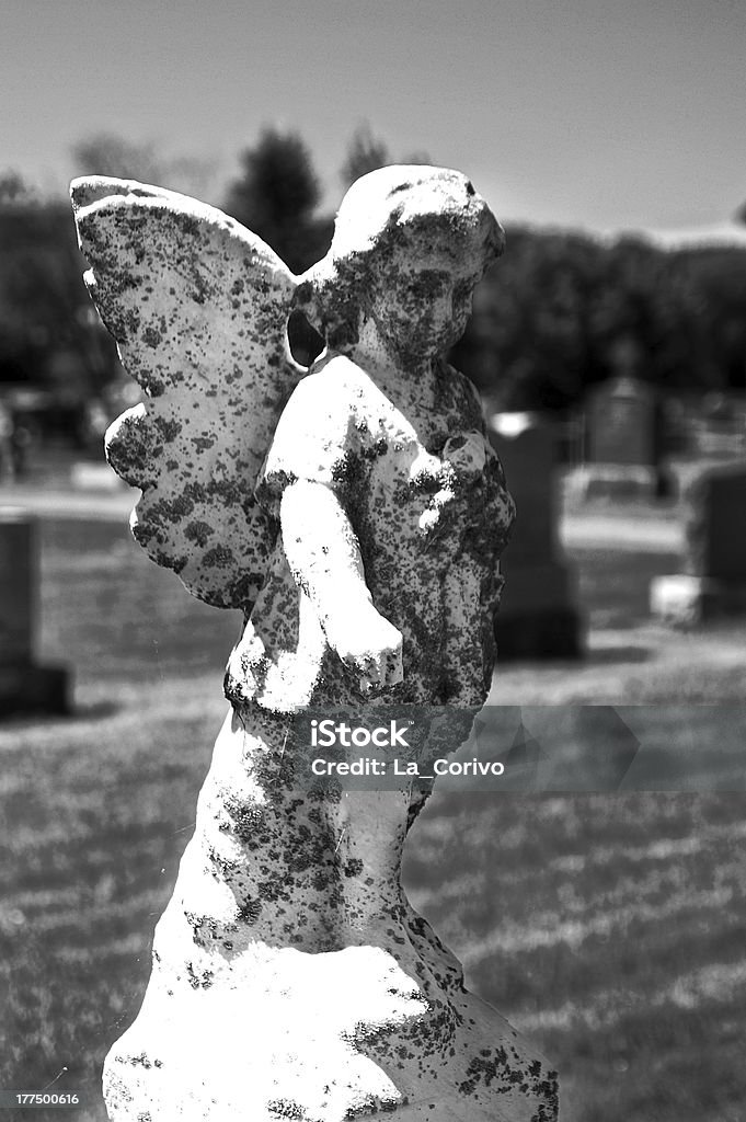 Statua di angelo corpo primo piano nel cimitero - Foto stock royalty-free di Ala di animale