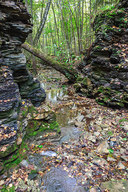 istock Creek in the ravine 177500720