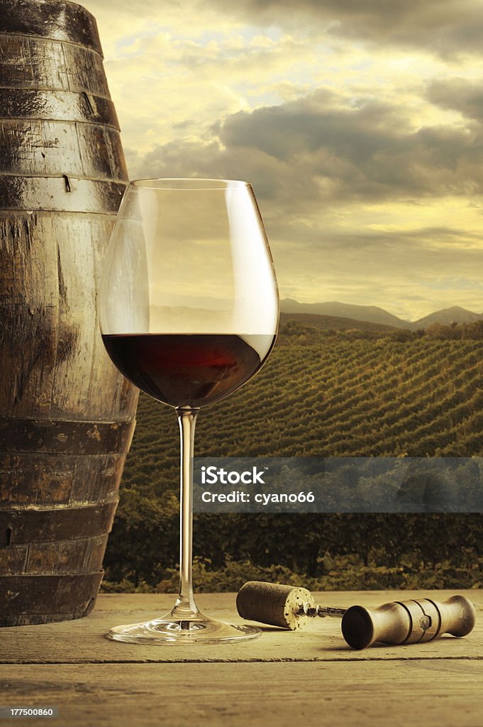 Red wine glass Wine glass on vineyard background Agriculture Stock Photo