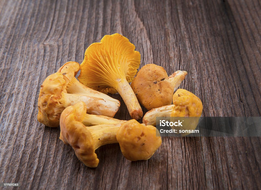 Cogumelos frescos - Foto de stock de Amarelo royalty-free