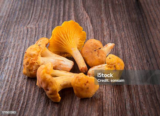 Foto de Cogumelos Frescos e mais fotos de stock de Amarelo - Amarelo, Cogumelo Chanterelle, Cogumelo Comestível