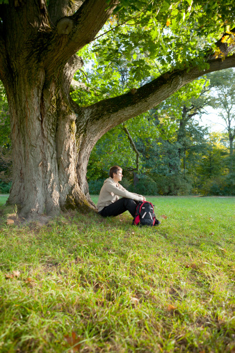 man is sitting resting under a large old oak tree