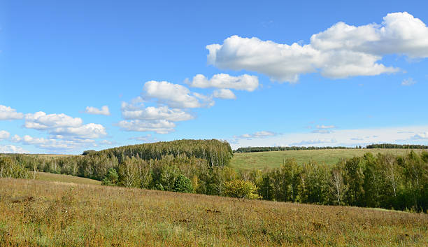 istock Autumn landscape photo 177501534