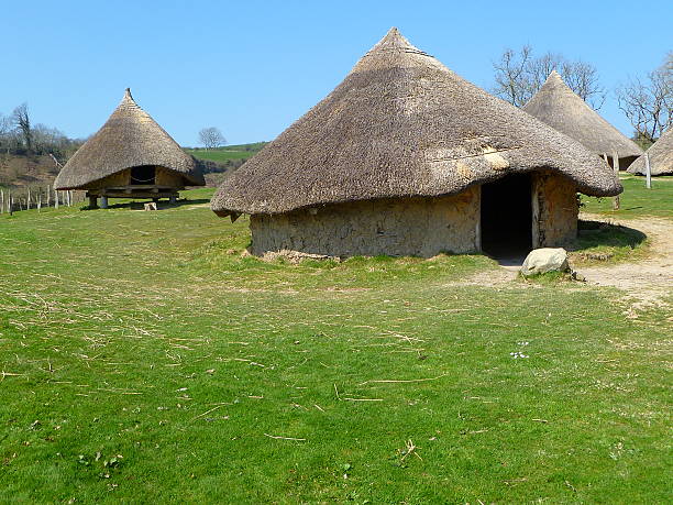 Iron Age Huts A village of iron age huts. anglo saxon photos stock pictures, royalty-free photos & images