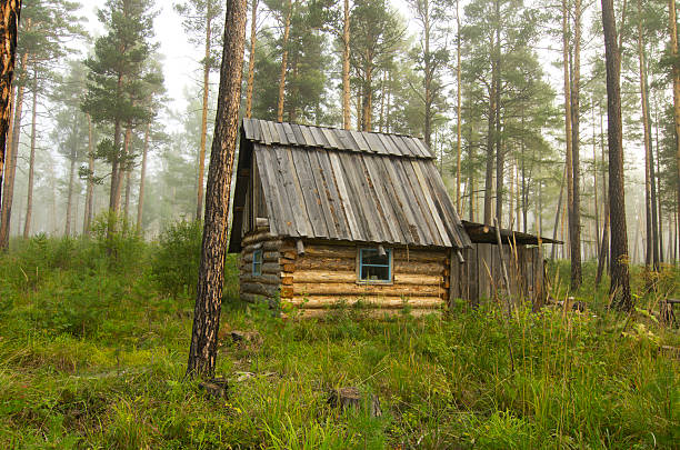 istock house hunting in the pine forest 177502478