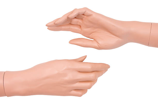 Hands of plastic mannequin