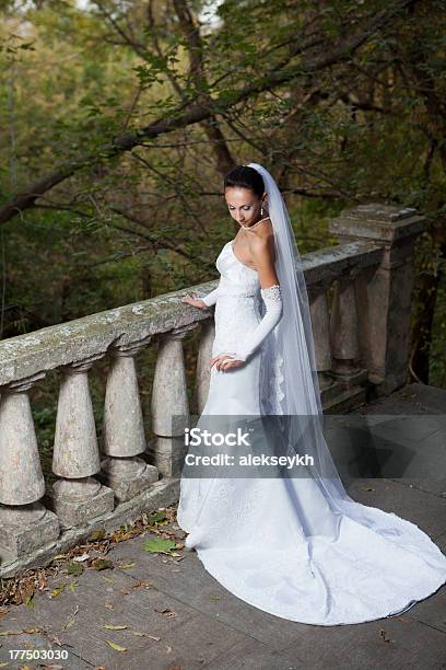 Retrato De Casamento - Fotografias de stock e mais imagens de Adulto - Adulto, Anelzinho, Beleza