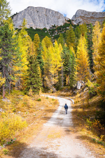 istock Hiker on a trail in the Dolomites 1775031486