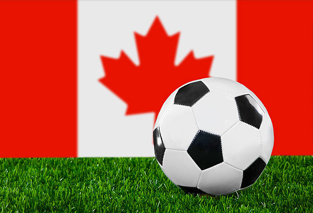 istock The Canadian flag 177503269