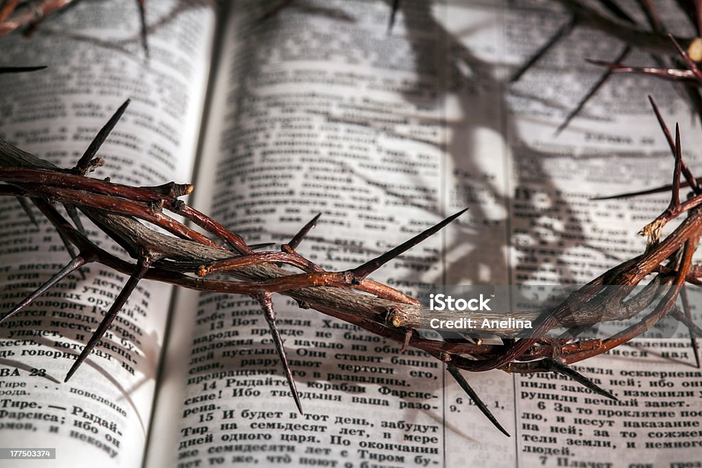 This is a crown of thorns This is a crown of thorns on the Bible Bible Stock Photo