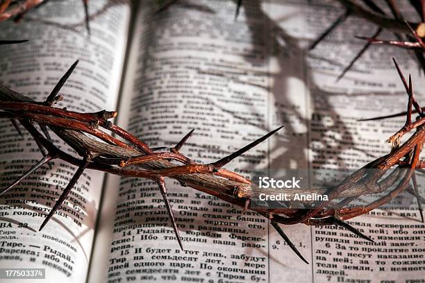 This Is A Crown Of Thorns Stock Photo - Download Image Now - Bible, Book, Celebration Event