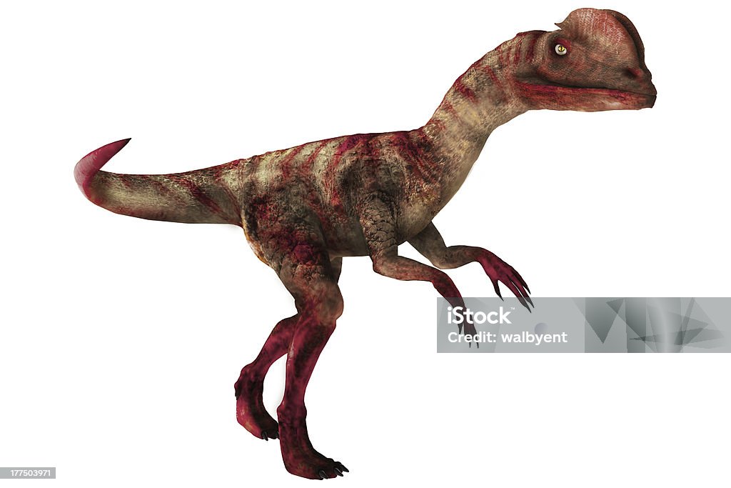 Dilophosaurus fundo branco - Foto de stock de Dilofossauro royalty-free