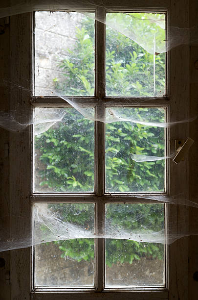 Window Coombe 3,200+ Spiderweb Window Stock Photos, Pictures & Royalty-Free Images ...