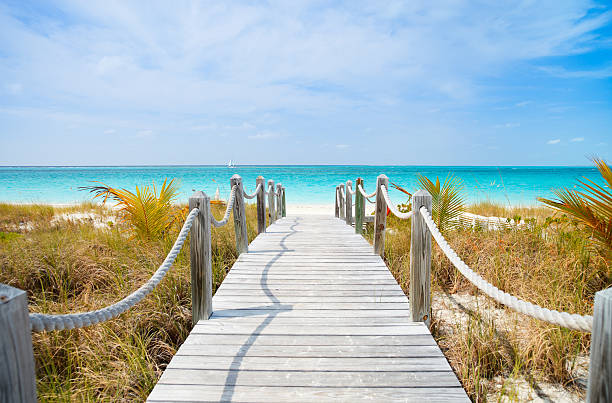 caribbean beach - providenciales - fotografias e filmes do acervo