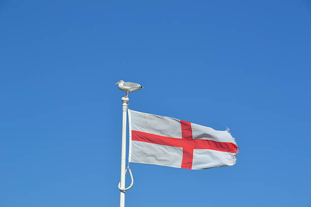 istock St George's Cross Flag With Seagull 177504417