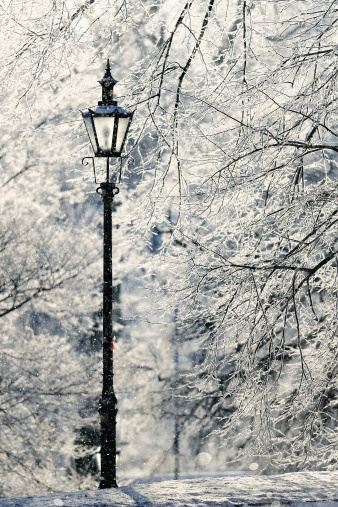 Lamppost in the winter park covered with white snow