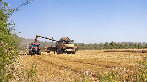 Combine Harvester and Tractor stock photo