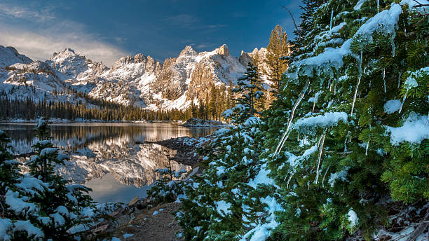 istock Christmas tree in the mountains with ice cycles 177505165