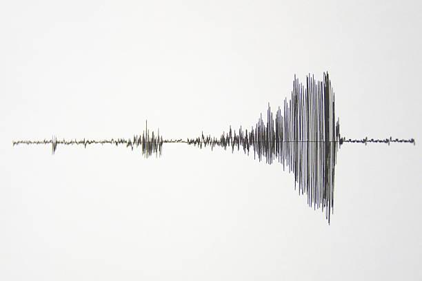 지진계 - seismograph seismic earthquake quake 뉴스 사진 이미지