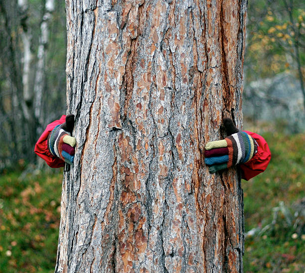Hands around a tree