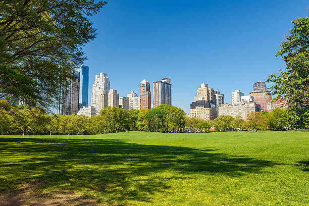 istock Central park at sunny day 177505707