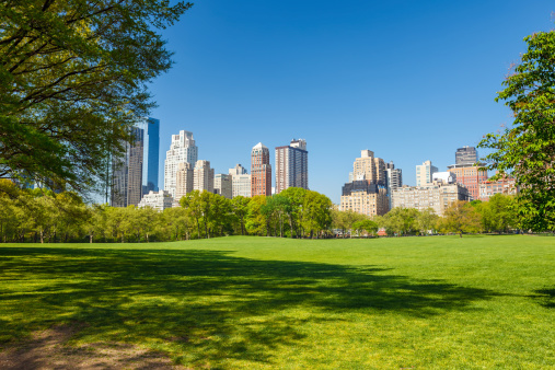 cityscape in central park