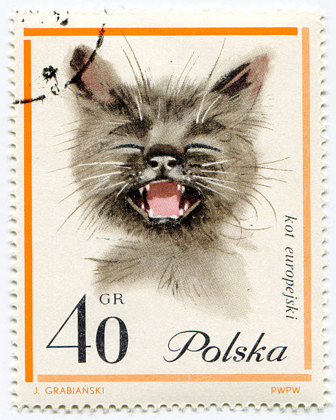 istock European cat on a vintage, canceled post stamp from Poland 177506021