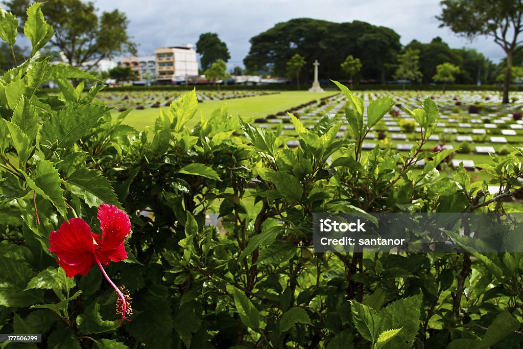 Красный цветок перед Кладбище - Стоковые фото Впереди роялти-фри