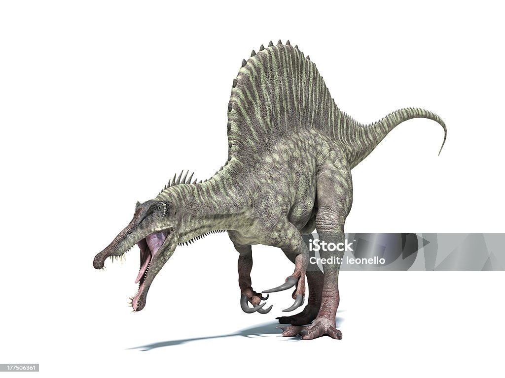 Spinosaurus 恐竜ます。白、クリッピングパスが含まれています。 - イラストレーションのロイヤリティフリーストックフォト