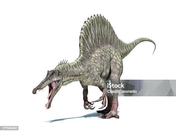 Spinosaurus 恐竜ます白クリッピングパスが含まれています - イラストレーションのストックフォトや画像を多数ご用意 - イラストレーション, クリップアート, サウリスキア