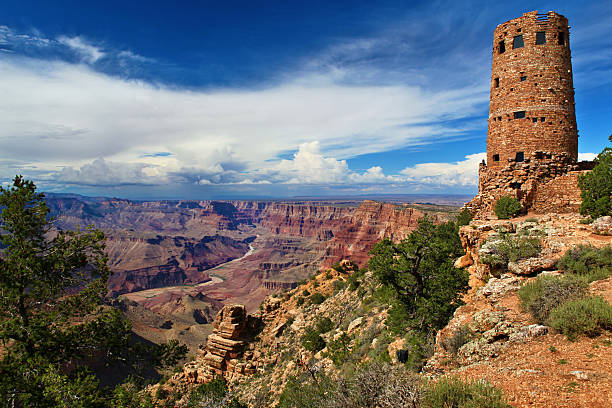 vista para o deserto de vigilância, o grand canyon, arizona - south rim - fotografias e filmes do acervo