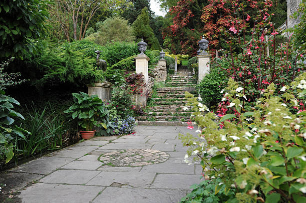 フォーマルな中庭 - patio stone footpath formal garden ストックフォトと画像