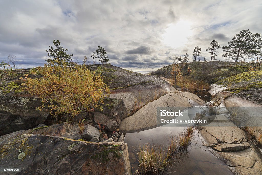 Côte rocheuse de l'automne Lac - Photo de Arbre libre de droits