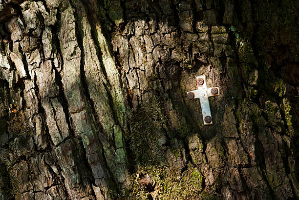little metal cross on a mossy tree trunk in the forest