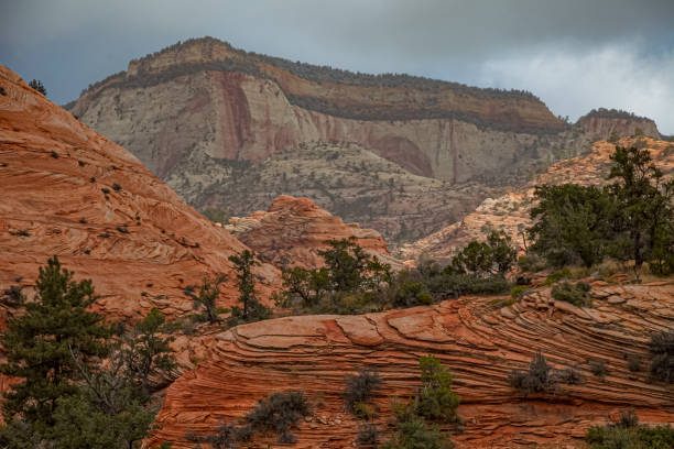 istock Fall colors - Zion National Park 1775079353