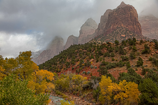 Fall color foliage hits The Utah high desert in Zion National Park