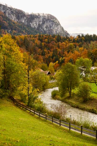 istock A small river flows through an autumn Bavarian village. The river flows through the autumn forest. River in autumn. 1775086046